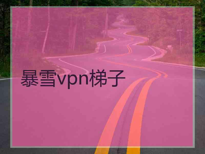 暴雪vpn梯子