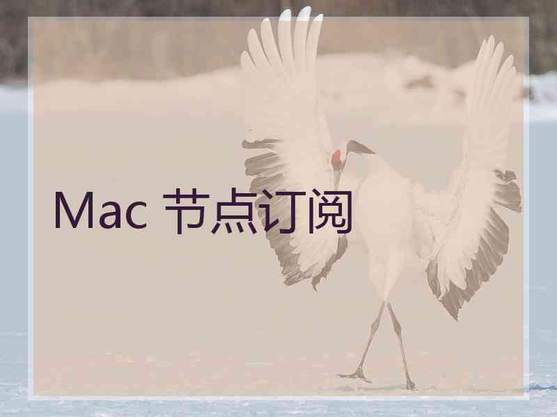 Mac 节点订阅