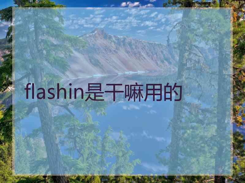 flashin是干嘛用的