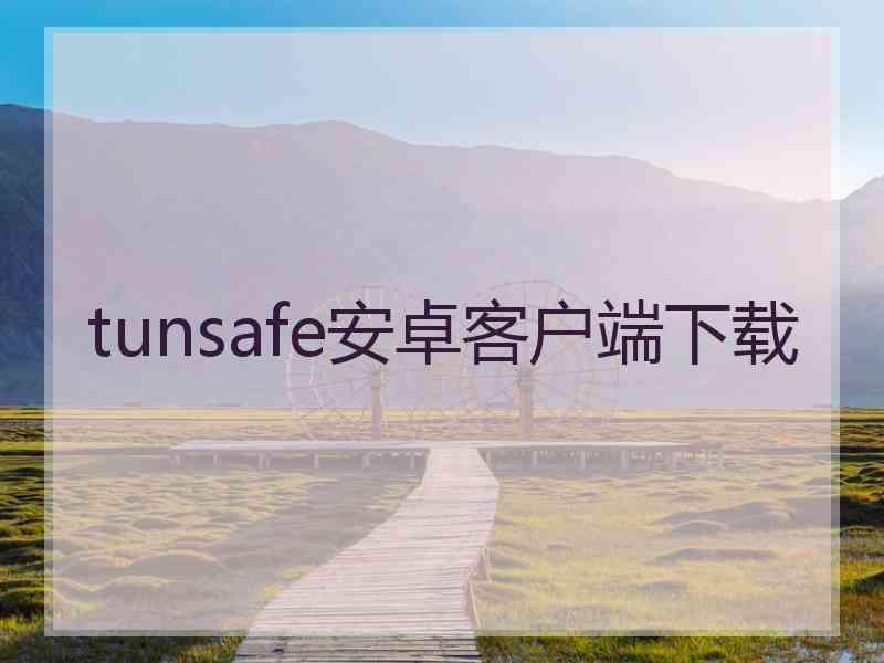 tunsafe安卓客户端下载