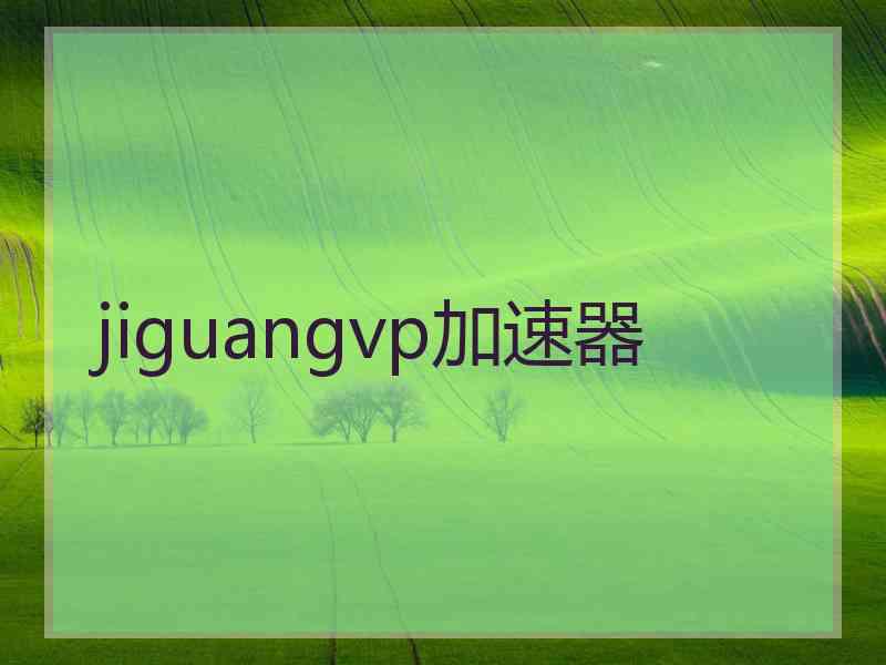 jiguangvp加速器